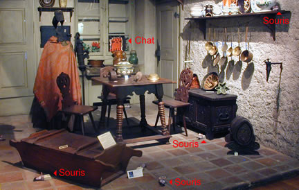 Collections et Cabinets de Curiosités