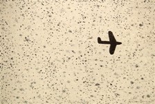 'Avion Flying' - Dean Bowen