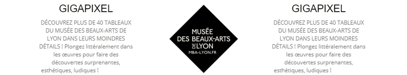 Musée des Beaux-Arts de Lyon en Gigapixel