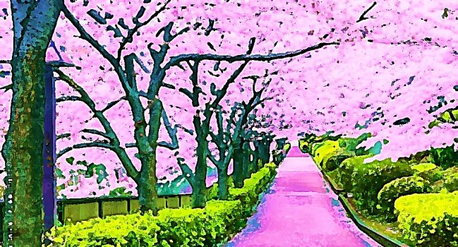 LE JAPON EN MUSIQUE