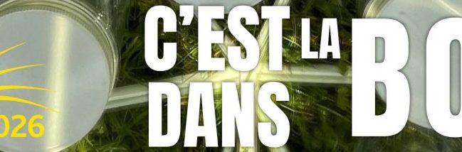 Printemps de l’écriture 2026 : c’est dans la boîte